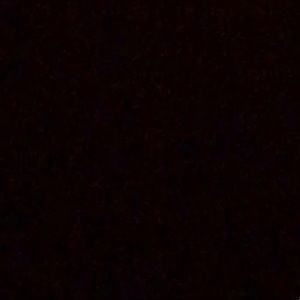 Meet your Posher, Daya